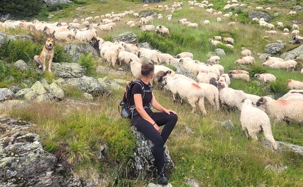 După 7 ani de străinătate, Liliana Oprea s-a întors acasă să crească animale! - Revista Ferma