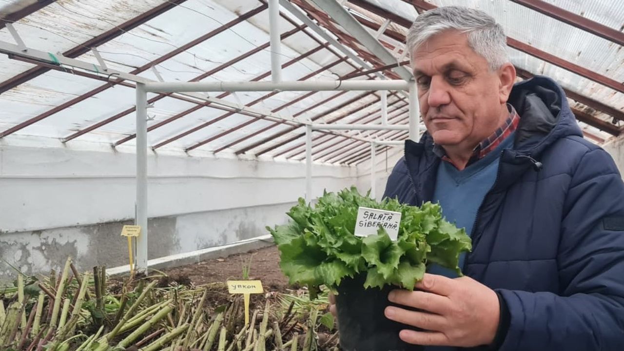 Costel Vînătoru: Ceapă siberiană și o salată cultivată de românii deportați în Siberia, păstrate la Banca de Gene