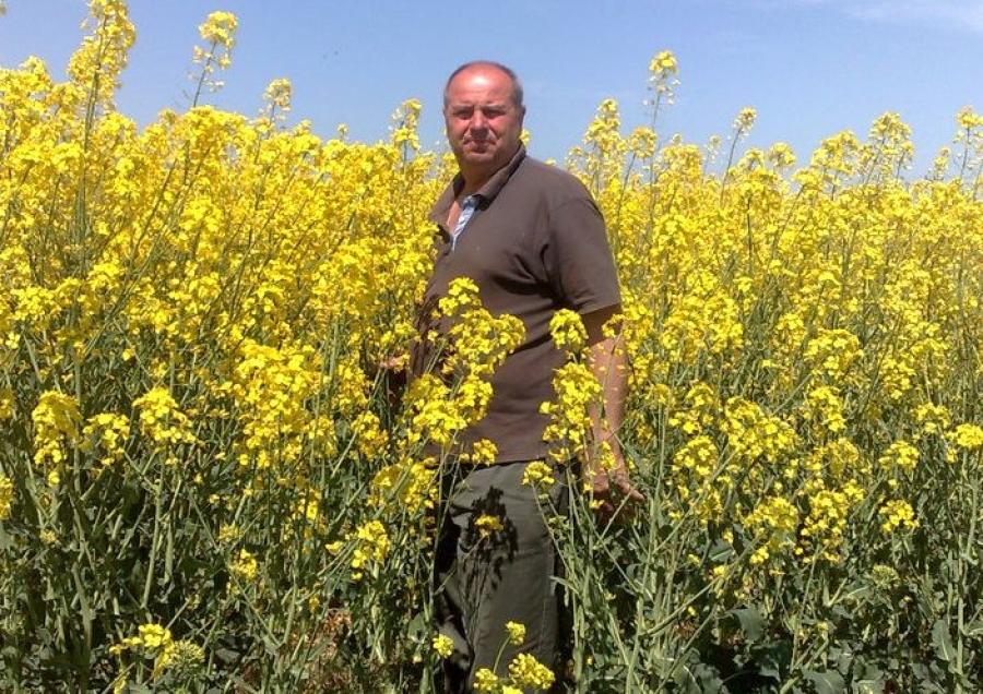 În prag de FALIMENT peste două treimi dintre fermierii dobrogeni - Revista Ferma