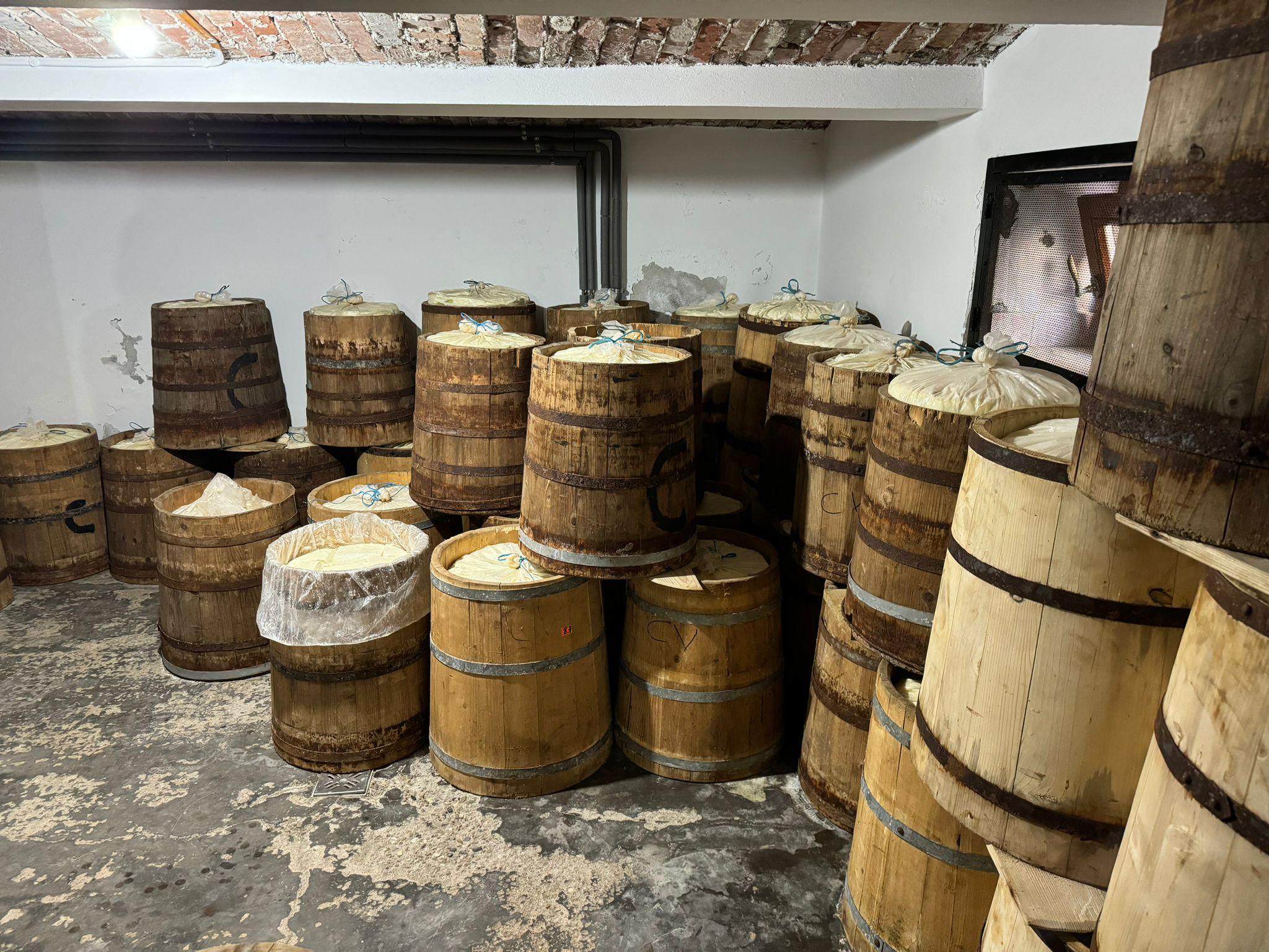 Preţul corect pentru BRÂNZA de oaie. De ce se vinde greu, chiar dacă se produce tot mai puţin? - Revista Ferma