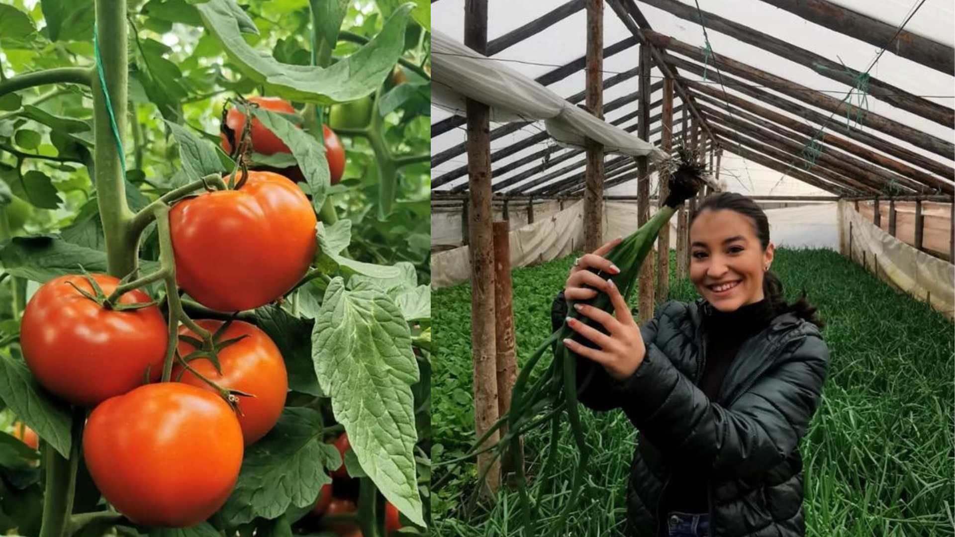 Denisa Milea (23 de ani): Puţini apreciază munca micilor producători, dar eu cred cu tărie că afacerea mea va da roade! - Revista Ferma