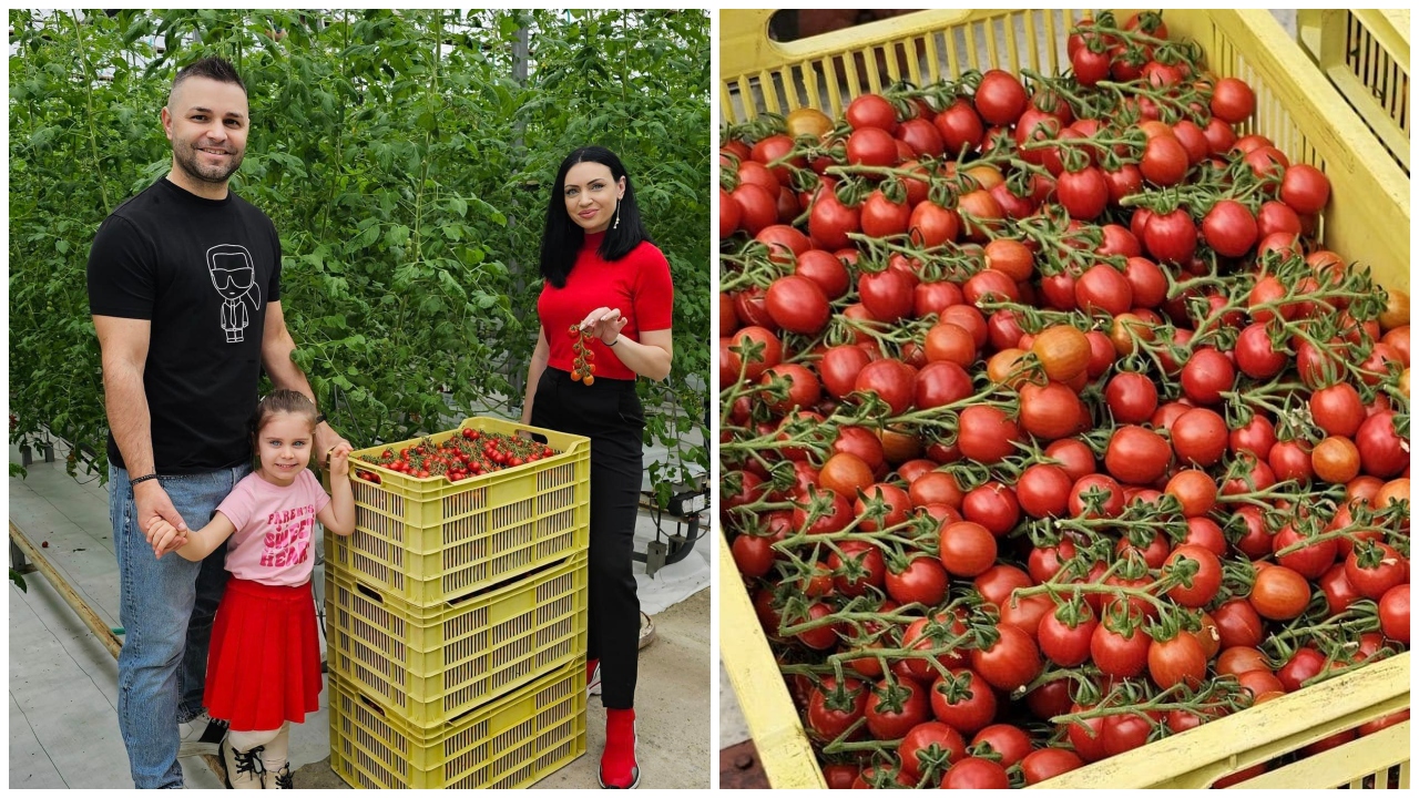 Primele roșii românești din acest an. Cât costă un kilogram de tomate coapte în martie